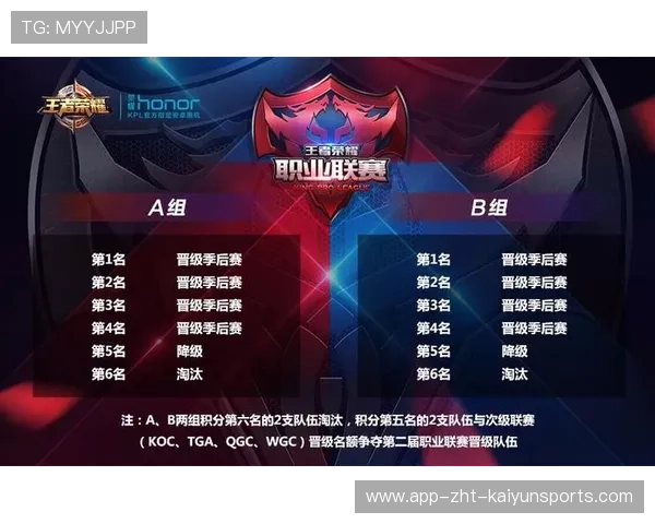 战队职业晋升制度透明化支持多通道成长,战队职位等级